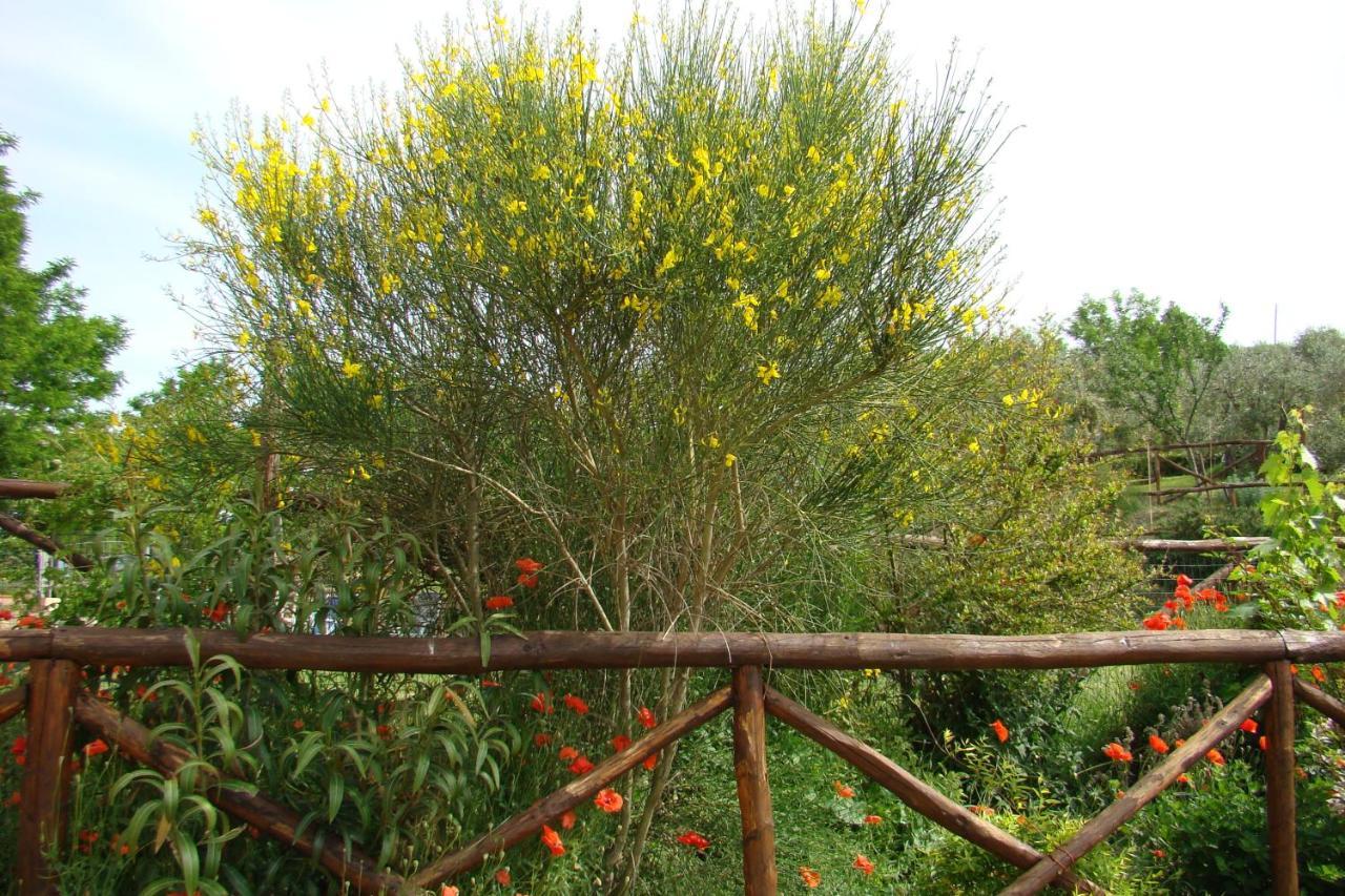 Casa Natura سان جيمينيانو المظهر الخارجي الصورة